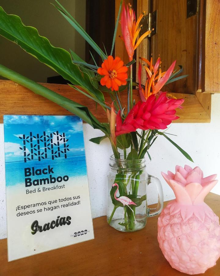 Black Bamboo Puerto Viejo de Talamanca Εξωτερικό φωτογραφία