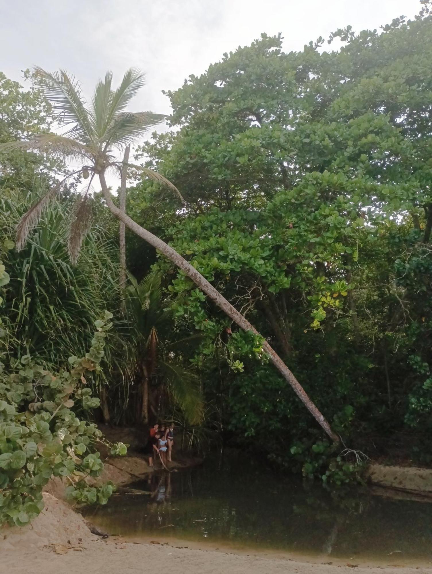 Black Bamboo Puerto Viejo de Talamanca Εξωτερικό φωτογραφία