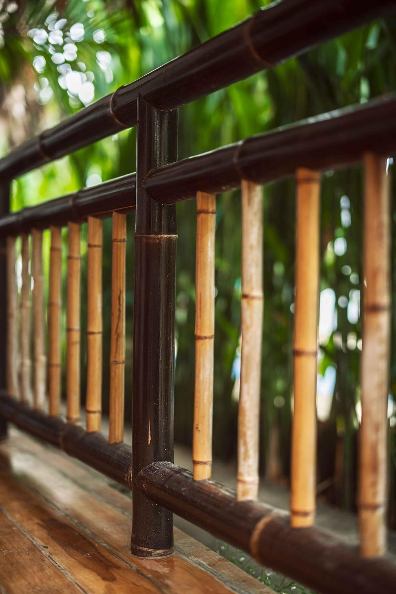 Black Bamboo Puerto Viejo de Talamanca Εξωτερικό φωτογραφία