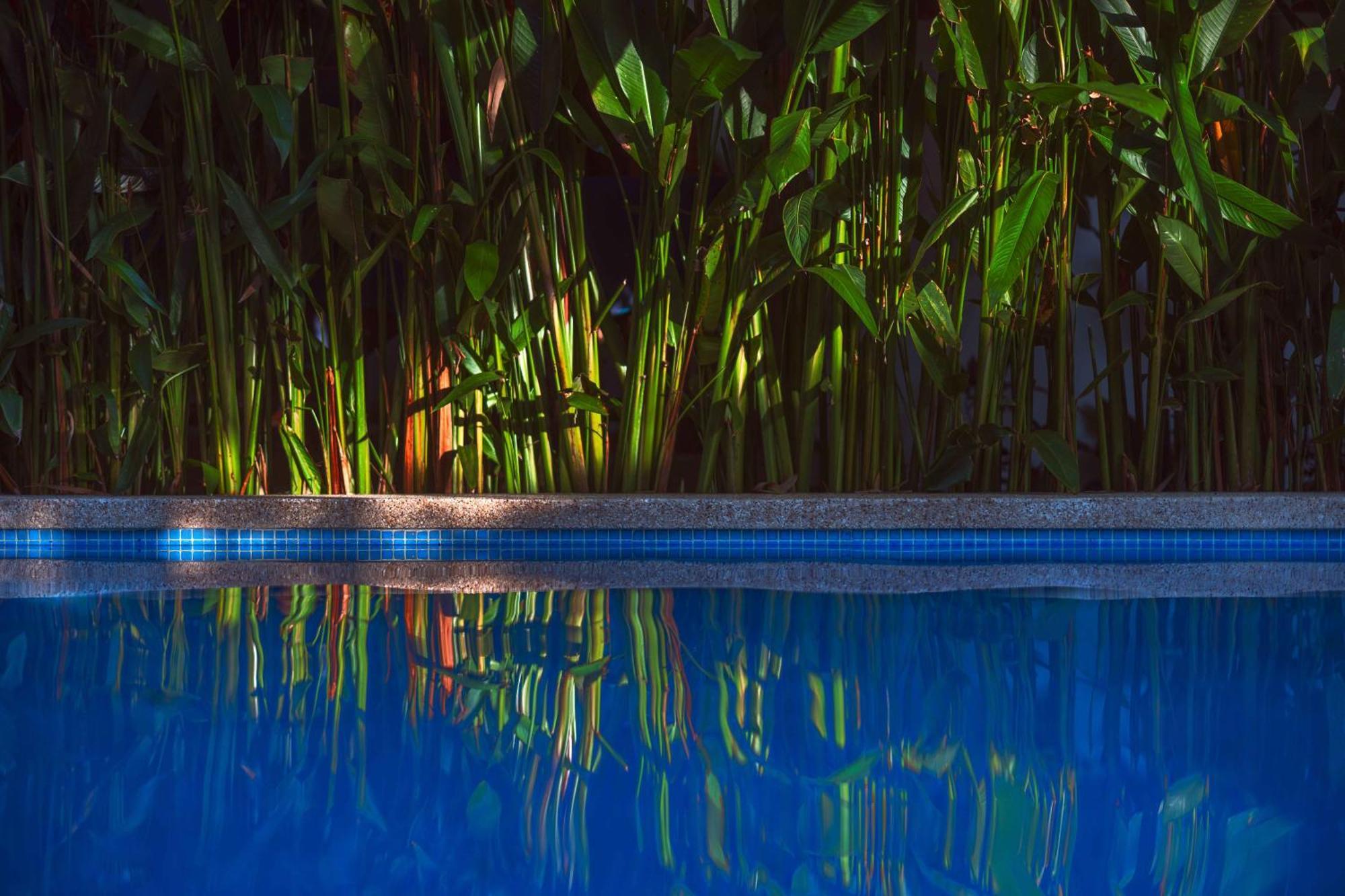Black Bamboo Puerto Viejo de Talamanca Εξωτερικό φωτογραφία
